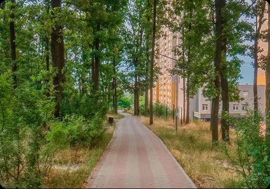 Ліс біля садочку